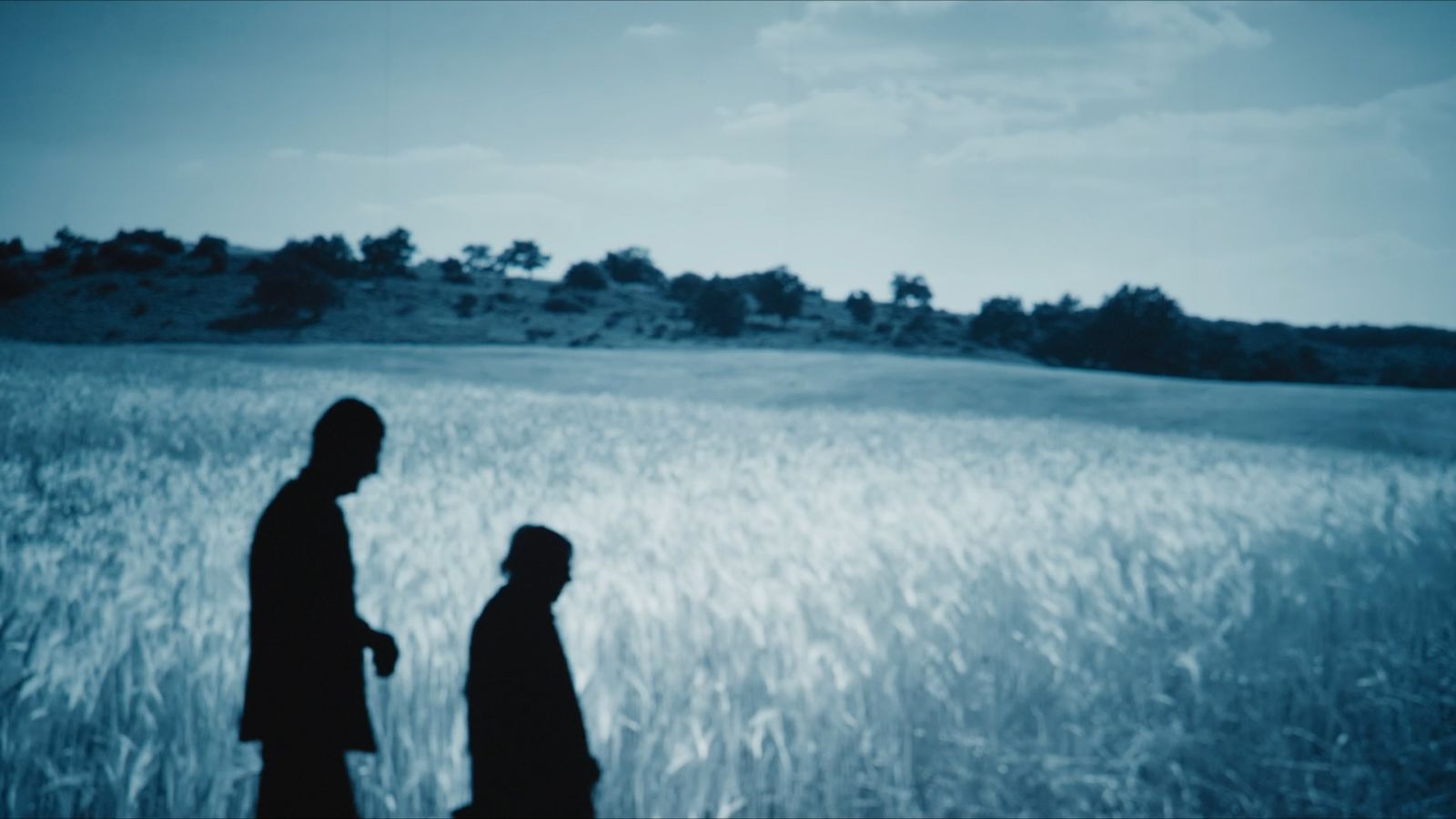 POINT_PADUREA_DE_MOLIZI_FILM