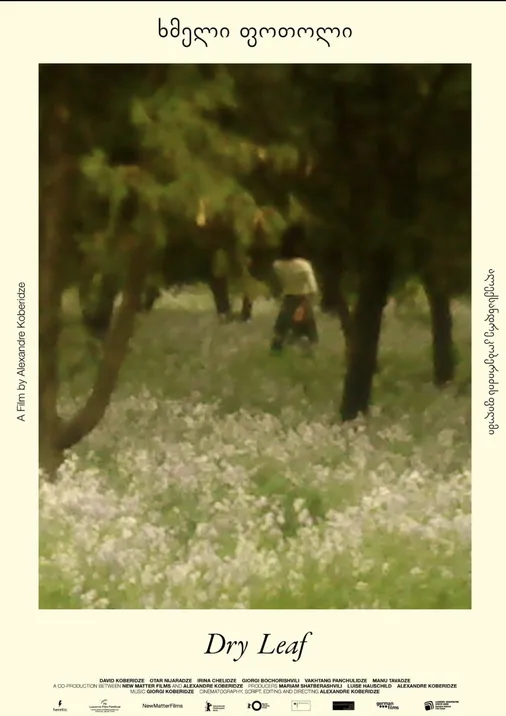 Point_DryLeaf_poster